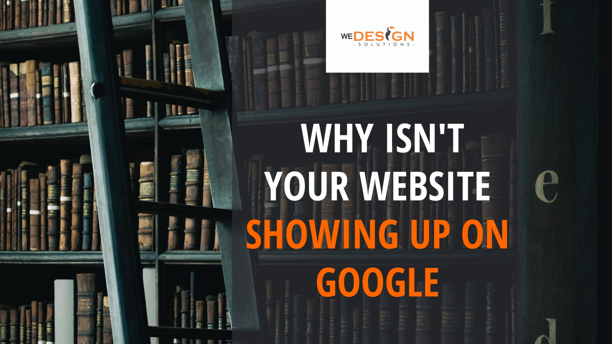 why-isn't-your-website-showing-up-on-google
